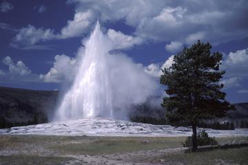 2-Day Yellowstone National Park from Jackson with Upper and Lower Loop