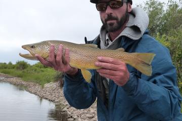 Yellowstone Full Day Wade Fishing Trip