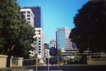 Wellington Central City Walking Tour