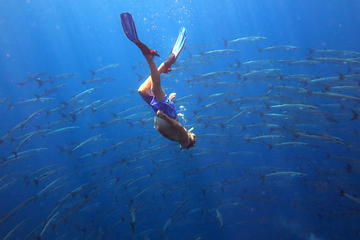 3-Day Snorkel Live-aboard in Takua Pa from Khao Lak