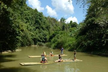 Small-Group Full-Day Khao Sok Nature Tour From Khao Lak