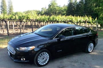 Private Transfer: Silicon Valley to San Francisco International Airport