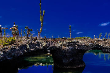 Los Tuneles - Isabela Island