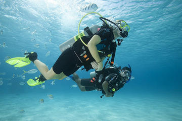 Discover Scuba Diving with 2 Dives in the Ocean in Tenerife with Transfers