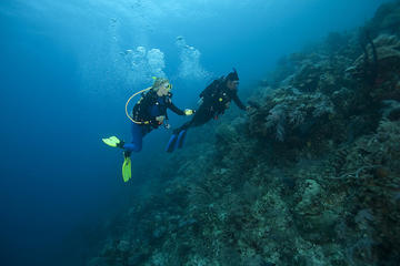 SSI Rescue Diver Course in Tenerife