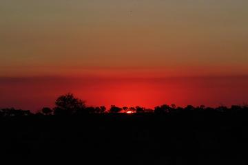 Kruger National Park Sunset Drive