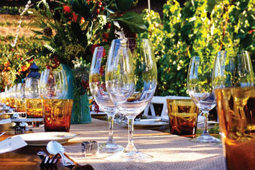 Romantic Vineyard Dinner Experience in Tuscany