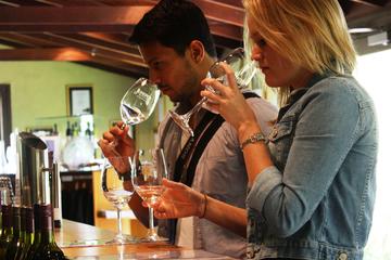 Margaret River Wine, Cheese and Chocolate Tour