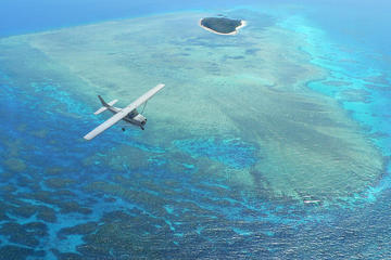 Great Barrier Reef Scenic Flight  from Cairns Including Green Island, Arlington Reef and Michaelmas Cay