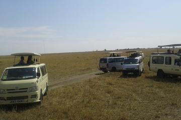 12-Day Tour: Maasai Mara, Serengeti, and Zanzibar from Nairobi