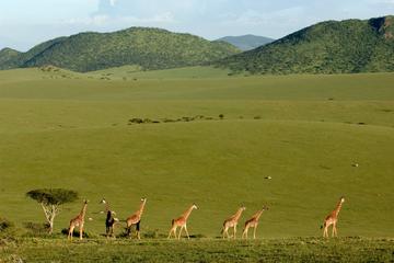 3-Day Maasai Mara Safari from Mombasa