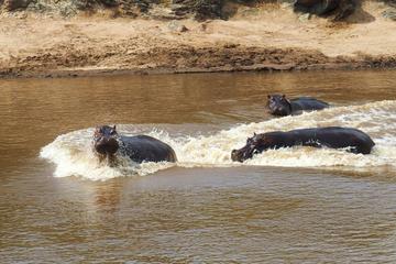 3 DAYS 2 NIGHTS MAASAI MARA PRIVATE LODGE SAFARI