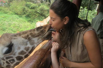 Full-Day Nairobi National Museum, Giraffe Centre and Nairobi National Park Tour