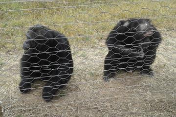 Ol Pejeta Conservancy Day Tour from Nairobi
