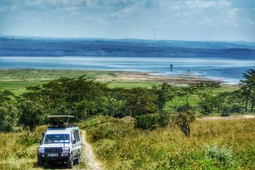 Private Tour of Lake Nakuru National Park with Optional Boat Ride from Nairobi