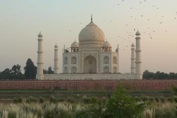 Dialogue With a Historian on Mughal Architecture over the tea