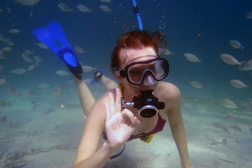 Punta Negra Diving Experience in Mallorca