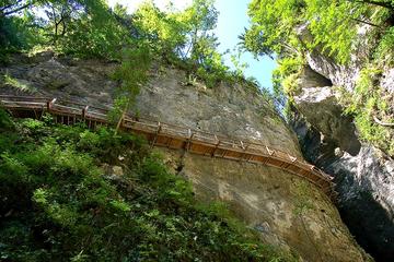 Pokljuka Gorge Half Day Hike from Bled
