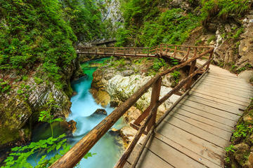 Vintgar Gorge Half Day Self-Guided eBike Trip from Bled