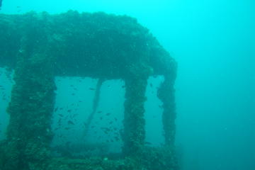 Dive Trip to King Cruiser wreck from Phuket