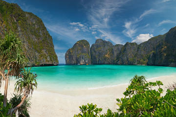 Dive Trip to Phi Phi from Phuket