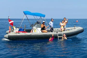 Private Charter: Kealakekua Bay Snorkel and Wild Dolphin Swim