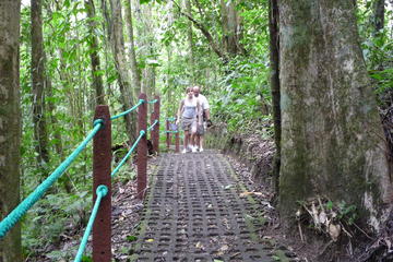 Hanging Bridges and La Fortuna Waterfall Nature Hike