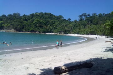 Manuel Antonio National Park Day Trip from Jaco