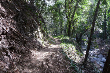 Private Half-Day Mountain Bike Tour Near Los Angeles