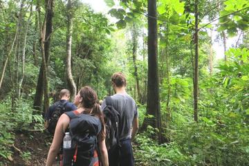 3-Day Chiang Dao Mountain Trek