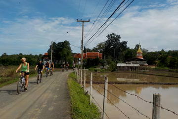 Full-Day Hike and Bike Tour in Mae Sa Valley from Chiang Mai