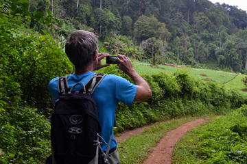 Full-Day Hike and Zipline Tour in Mae Sa Valley from Chiang Mai