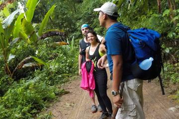 Overnight Doi Inthanon National Park Tour with Hill Tribe Homestay