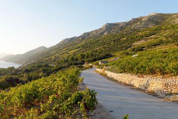 Wine Lover's Tour of Peljesac Peninsula