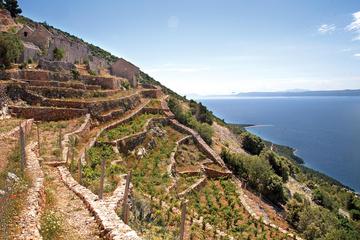 Private Tour: Peljesac Vineyards and Oyster Farms from Dubrovnik