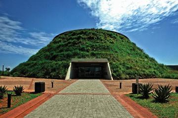 Full-Day Cradle of Humankind Safari Tour