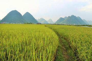 Overnight Bac Son Valley Tour