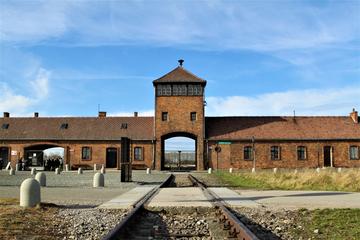 Auschwitz-Birkenau Memorial & Museum Shared or Private Tour from Krakow