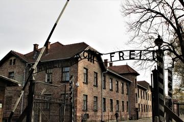 Full-Day, Private Auschwitz-Birkenau Tour from Krakow