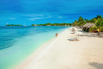 Negril Highlights Private Tour