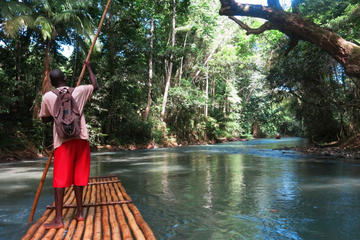Private Dunn's River Falls and Martha Brae River Rafting Tour from Negril