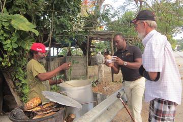 Private Jamaican Food Tasting Tour from Negril