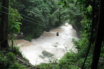 Private South Coast Adventure Tour from Negril