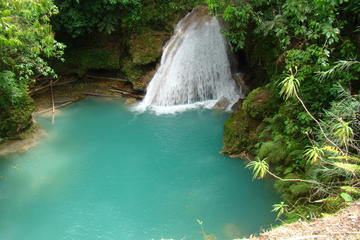 Private Waterfall Tour: Dunn's River and Blue Hole