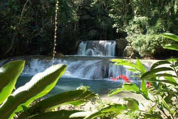 Private YS Falls Tour from Montego Bay
