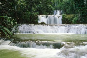 Private YS Falls Tour from Negril