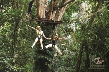 Flying Hanuman Zipline Experience