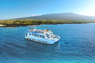 Snorkel Dolphin Adventure aboard Luxury Catamaran