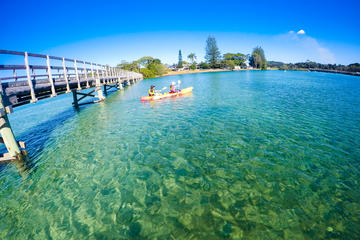 Brunswick River Nature Kayak Tour from Byron Bay