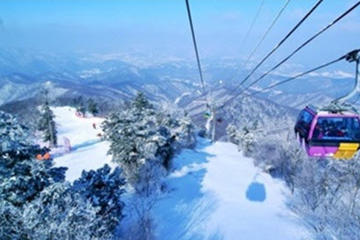 Yongpyong Gondola Day Trip from Seoul Including Outlet Shopping Option